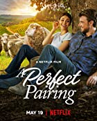 A Perfect Pairing 2022 Hindi Dubbed 480p 720p FilmyHit