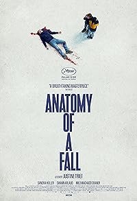 Anatomy of a Fall 2023 Hindi Dubbed French 480p 720p 1080p FilmyHit FilmyHit