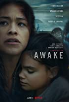 Awake 2021 Hindi Dubbed 480p 720p FilmyHit