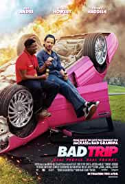 Bad Trip 2020 Hindi Dubbed 480p FilmyHit