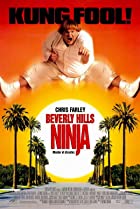 Beverly Hills Ninja 1997 Hindi Dubbed 480p 720p FilmyHit