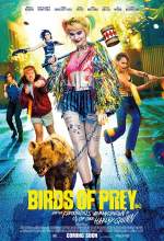 Birds of Prey 2020 Dual Audio Hindi 480p BluRay 300MB FilmyHit