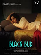 Black Bud 2021 Full Movie Download FilmyHit