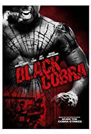 Black Cobra 2012 Dual Audio Hindi 480p 300MB FilmyHit