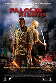 Falcon Rising 2014 Dual Audio Hindi 480p 300MB FilmyHit