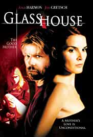 Glass House The Good Mother 2006 Dual Audio Hindi 480p FilmyHit