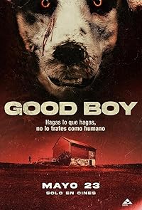 Good Boy 2022 Hindi Dubbed Norwegian Movie Download 480p 720p 1080p FilmyHit