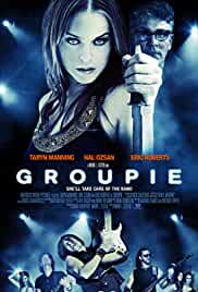 Groupie 2010 Hindi Dubbed 480p FilmyHit