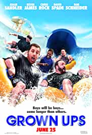 Grown Ups 2010 Dual Audio Hindi 480p FilmyHit