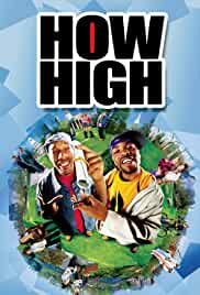 How High 2001 Dual Audio Hindi 480p FilmyHit