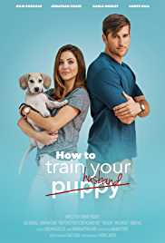 How To Train Your Husband 2017 Hindi Dubbed FilmyHit