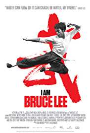 I Am Bruce Lee 2011 Dual Audio Hindi 480p 300MB FilmyHit