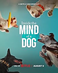 Inside the Mind of a Dog Hindi Dubbed English Movie Download 480p 720p 1080p FilmyHit