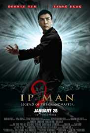 Ip Man 2 2010 Dual Audio Hindi 480p 300MB FilmyHit