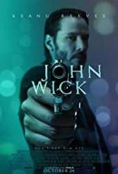 John Wick 2014 Hindi ORG + English 480p 720p 1080p 2160p 4K FilmyHit