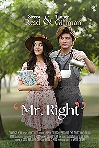 Mr Right 2023 Hindi Dubbed 480p 720p 1080p FilmyHit FilmyHit FilmyHit