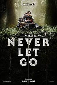 Never Let Go 2024 Hindi Dubbed English Tamil Telugu 480p 720p 1080p FilmyHit 