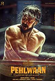 Paiwaan 2019 Hindi Full Movie Download FilmyHit