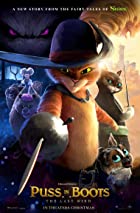 Puss in Boots The Last Wish 2022 Hindi Dubbed 480p 720p 1080p FilmyHit