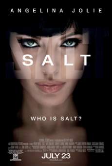 Salt FilmyHit 2010 300MB Hindi Dual Audio 480p FilmyHit