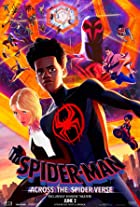 Spider Man Across the Spider Verse 2023 Hindi Dubbed 480p 720p 1080p FilmyHit