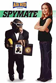 Spymate 2003 Hindi Dubbed 480p FilmyHit