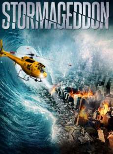 Stormageddon 2015 Dual Audio Hindi 480p 300MB FilmyHit