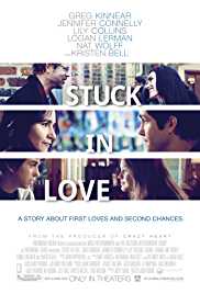 Stuck In Love 2012 Dual Audio Hindi 480p 300MB FilmyHit