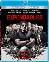 The Expendables FilmyHit 2010 300MB Dual Audio Hindi 480p FilmyHit