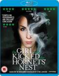 The Girl Who Kicked The Hornets Nest 2009 Dual Audio Hindi 480p FilmyHit