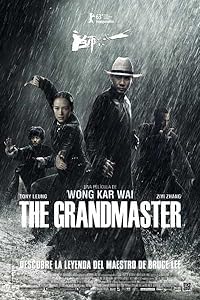 The Grandmaster 2013 Hindi Dubbed Chinese English 480p 720p 1080p Download FilmyHit