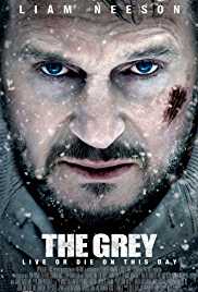 The Grey 2011 Hindi Dubbed 300MB 480p FilmyHit