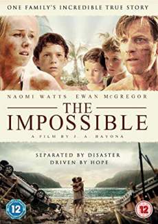 The Impossible 2012 Dual Audio Hindi 480p 300MB FilmyHit