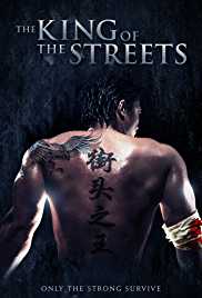 The King of the Streets 2012 Dual Audio Hindi 480p 300MB FilmyHit