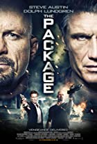 The Package 2013 Hindi Dubbed 480p 720p FilmyHit