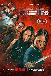 The Shadow Strays 2024 Hindi Dubbed English Movie Download 480p 720p 1080p FilmyHit