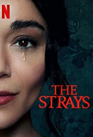 The Strays 2023 Hindi Dubbed 480p 720p 1080p FilmyHit