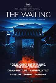 The Wailing 2016 Dual Audio Hindi 480p FilmyHit