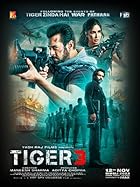 Tiger 3 2023 Movie Download 480p 720p 1080p 2160p 4K FilmyHit