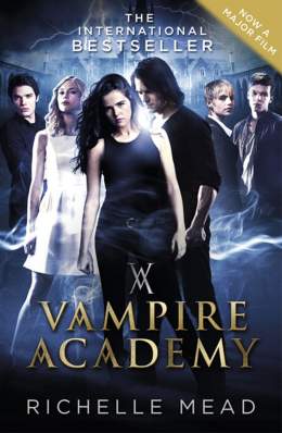 Vampire Academy 2014 Dual Audio Hindi 480p 300MB FilmyHit