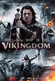 Vikingdom 2013 Hindi Dubbed 480p FilmyHit