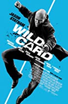 Wild Card 2015 Hindi Dubbed 480p 720p FilmyHit