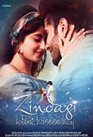 Zindagi Kitni Haseen Hay 2016 Full Movie Download FilmyHit