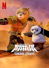 Kung Fu Panda The Dragon Knight 2022 Hindi Dubbed Web Series Download 480p 720p 1080p FilmyHit